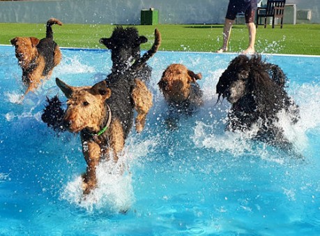 Trust Resort Canino | Ondara, Spanien